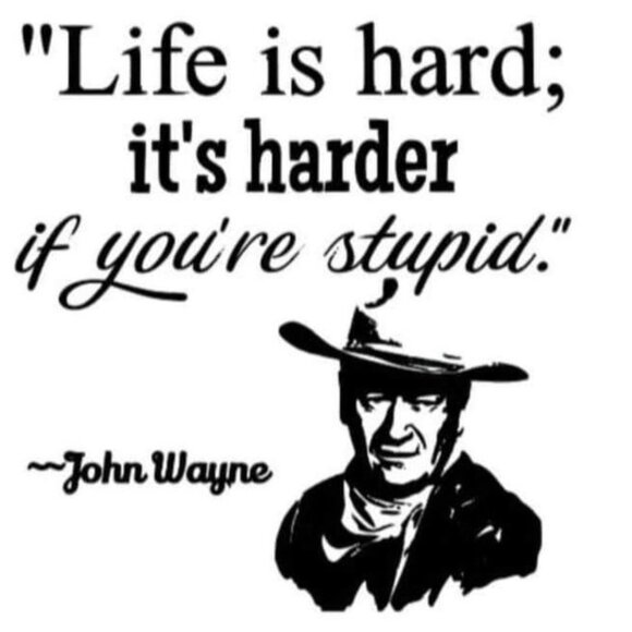 shirts - Picture 5 of 7